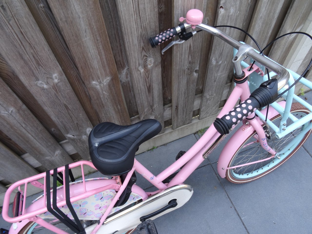 Popal Daily Dutch 22 inch meisjesfiets 3 versnellingen