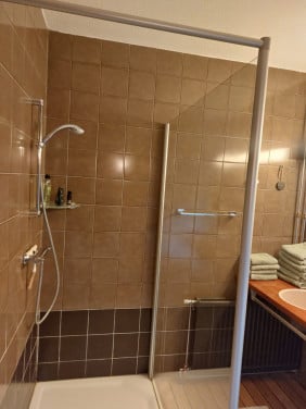 Douchewand glas