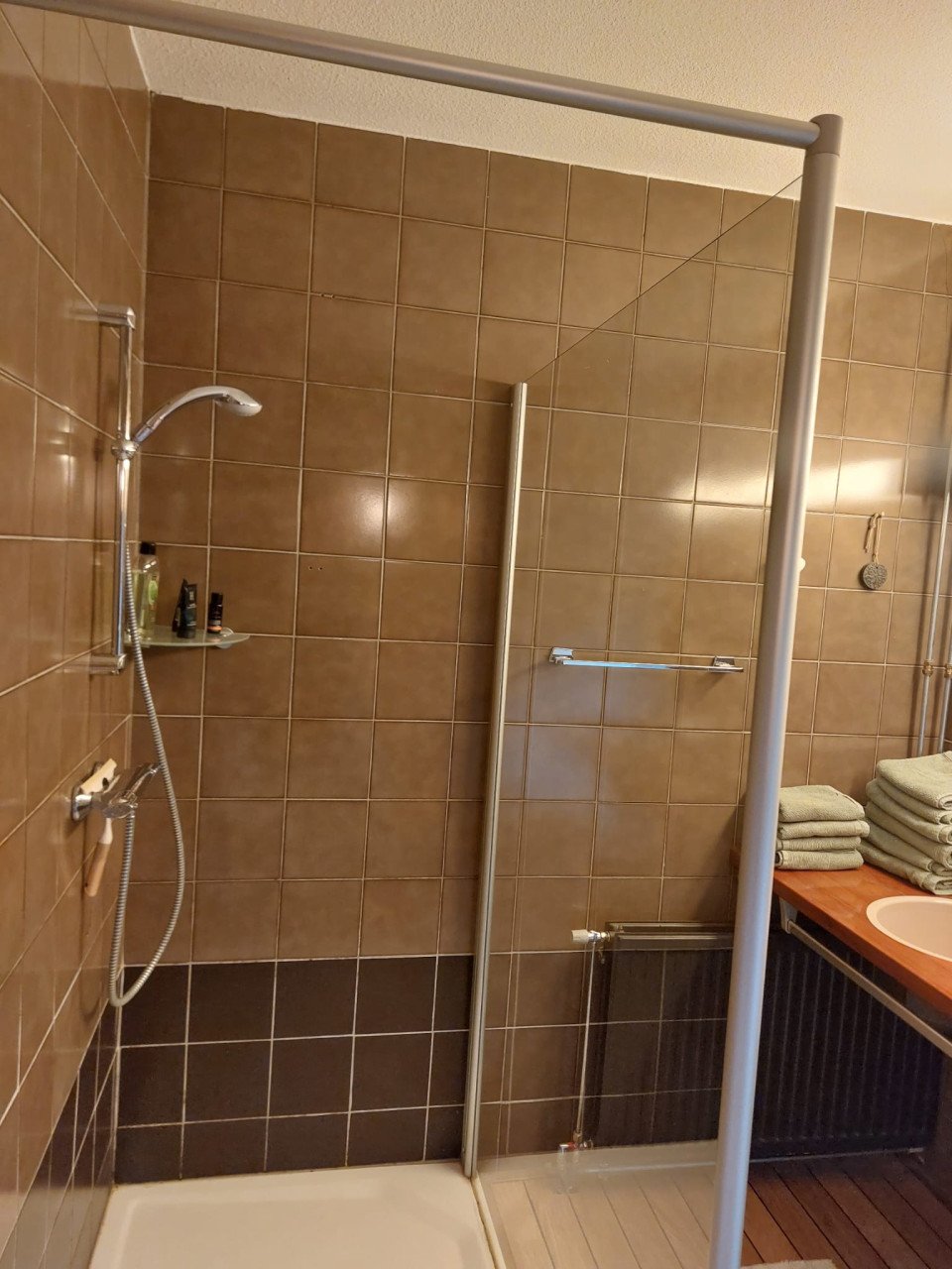 Douchewand glas