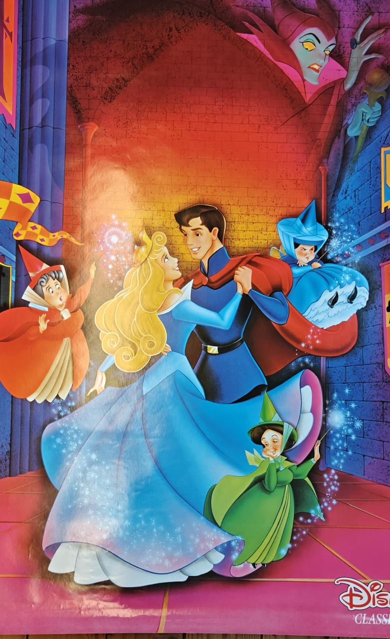 3 posters van Walt Disney in een koker.