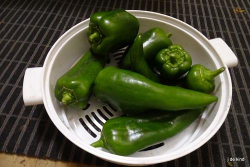 Patison en paprika