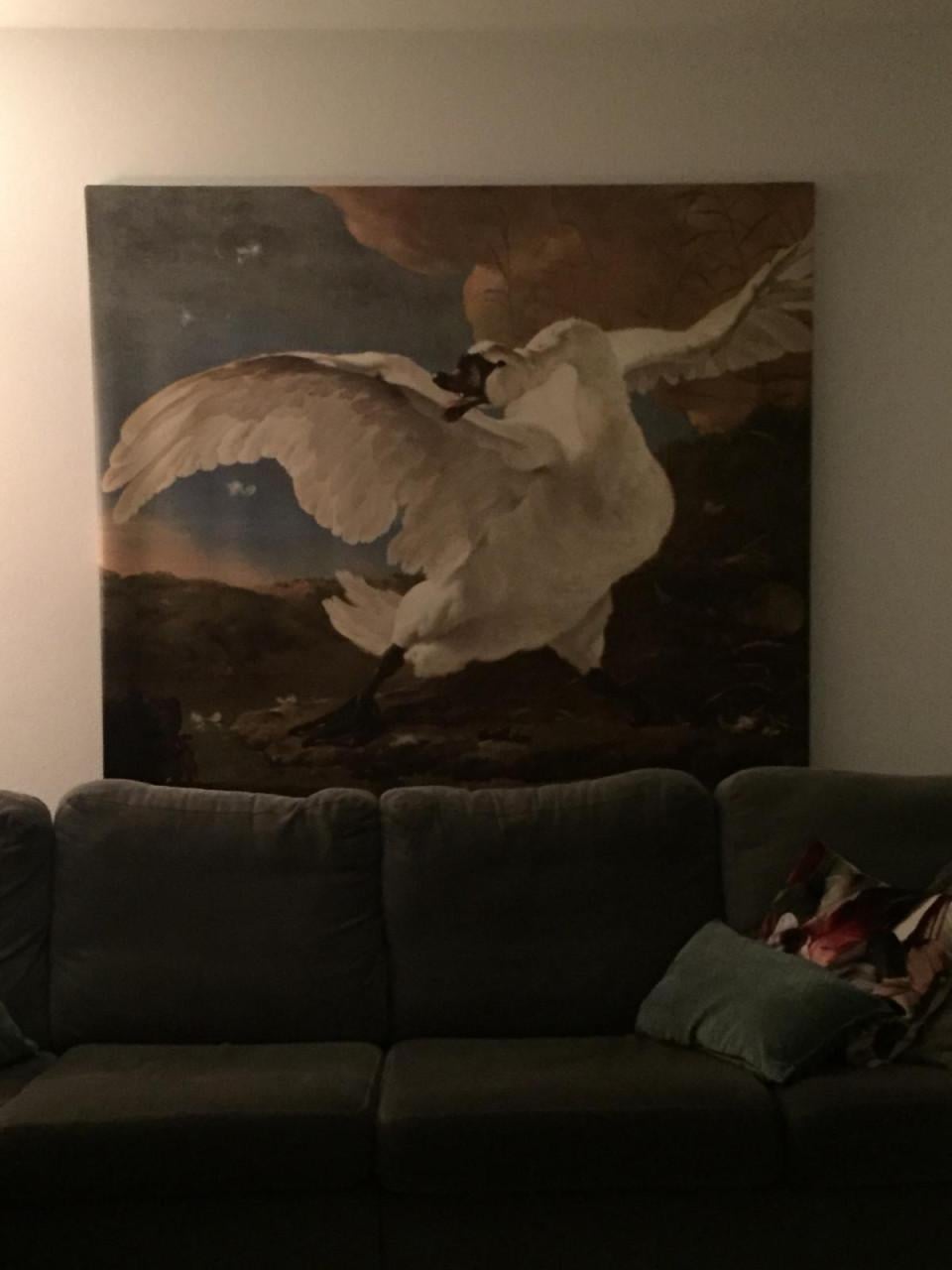 Canvasdoek "de bedreigde zwaan"