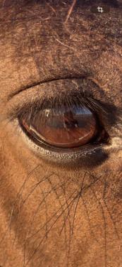 Barefoot bekappen Ook tijdens avond uren.