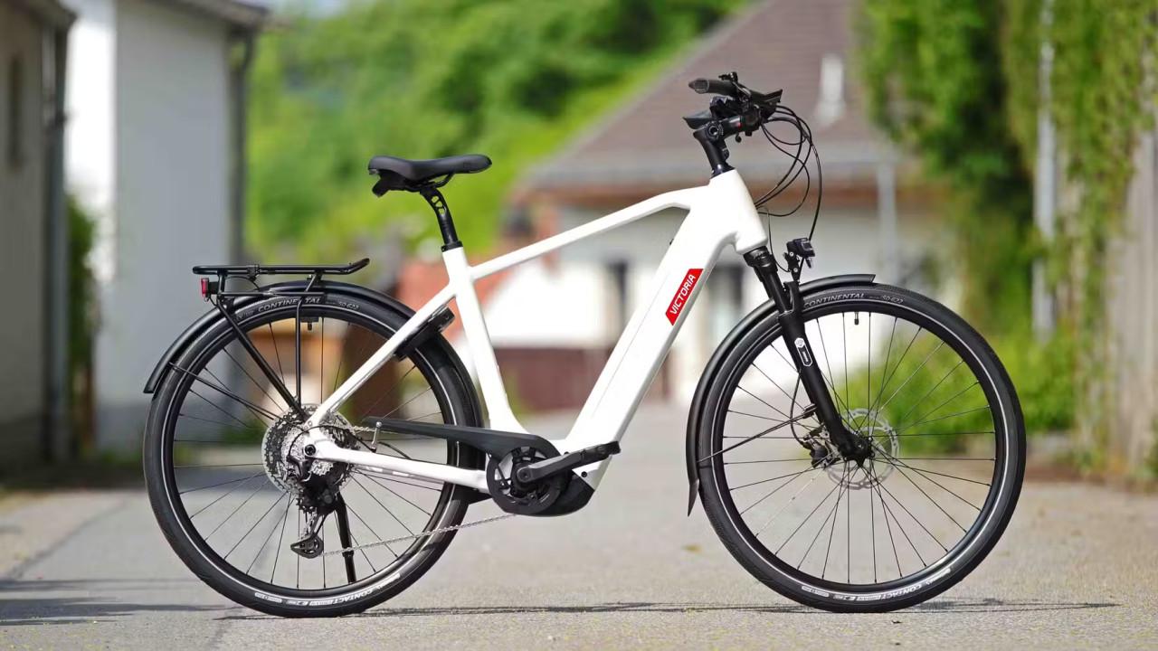Ebike Bosch CX 750Wh accu smart