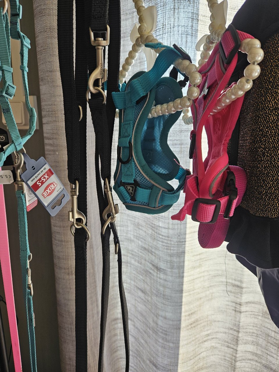Vele nieuwe honden accessoires