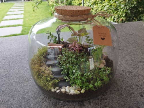 Groot plantenterrarium