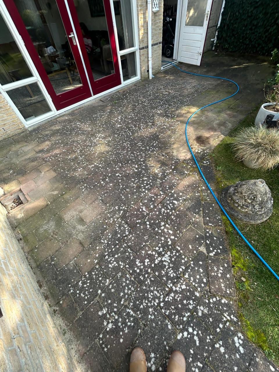 Uw buitenomgeving weer laten stralen? Spik & Span Zeeland helpt u graag!