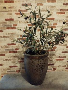 Mooie pot met olijfboompje