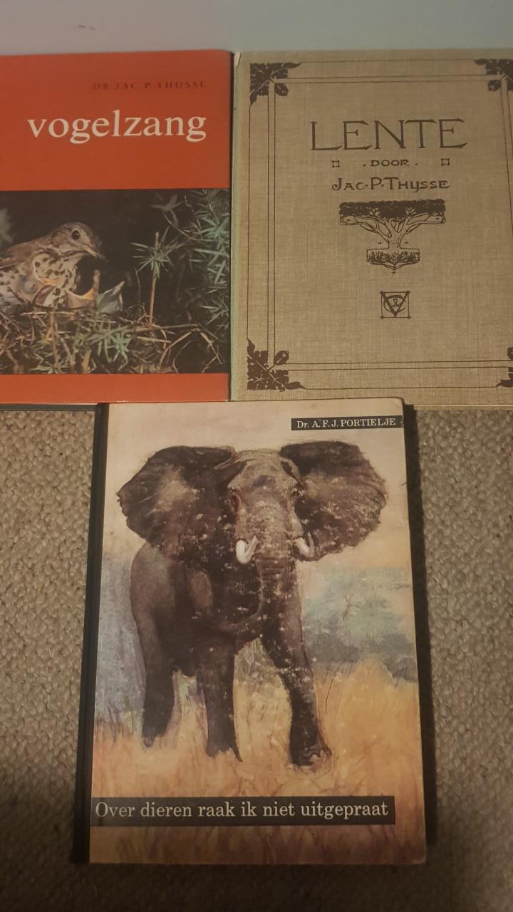 3 plaatjesalbums van Verkade