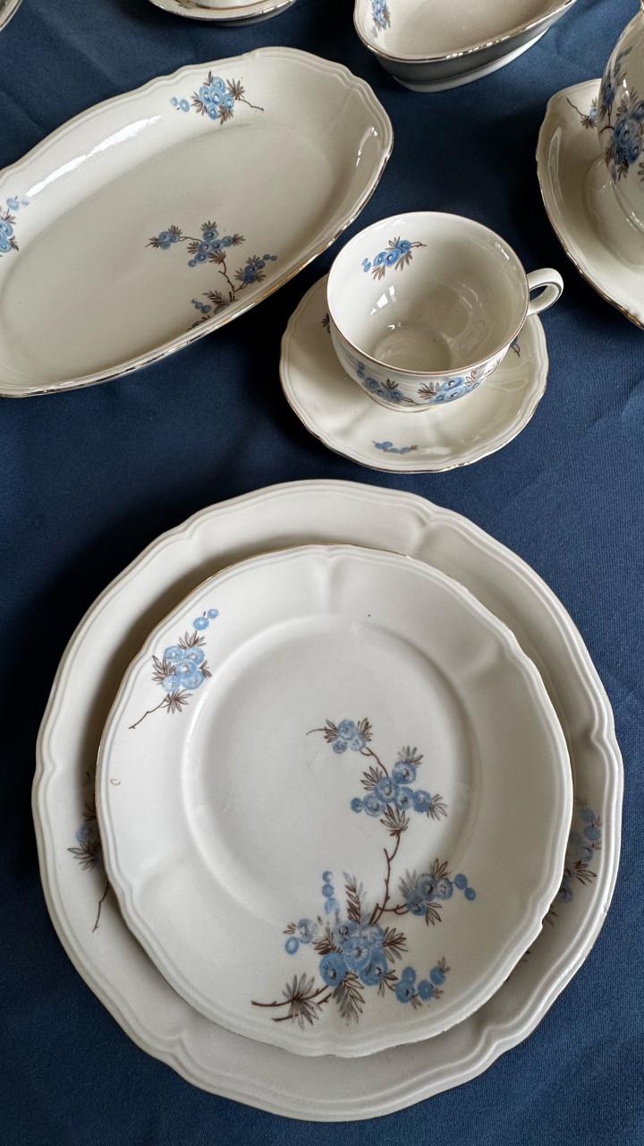Mitterteich Bavaria servies compleet 5 / 6 personen.