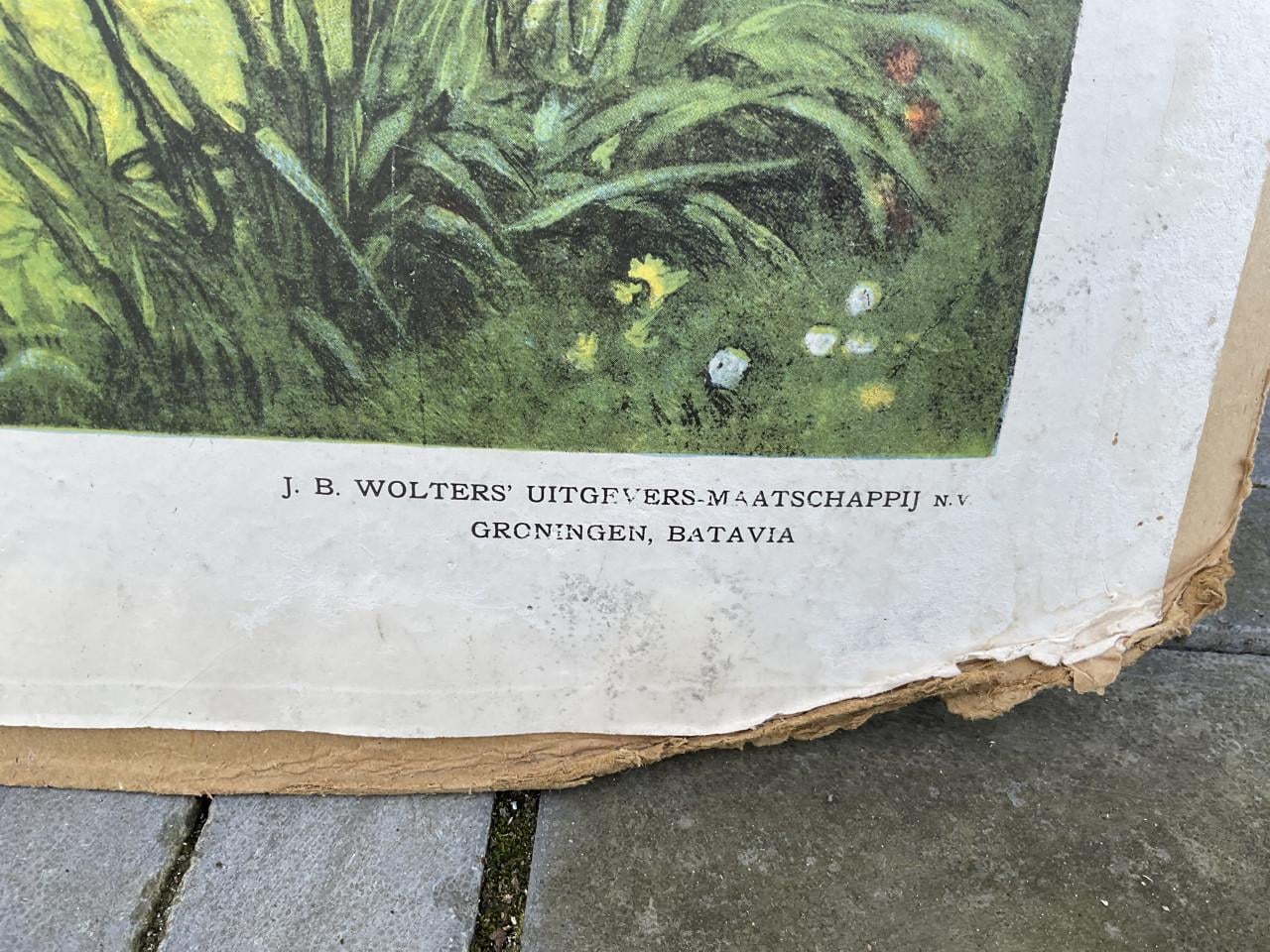 Oude geschiedenis wandplaat