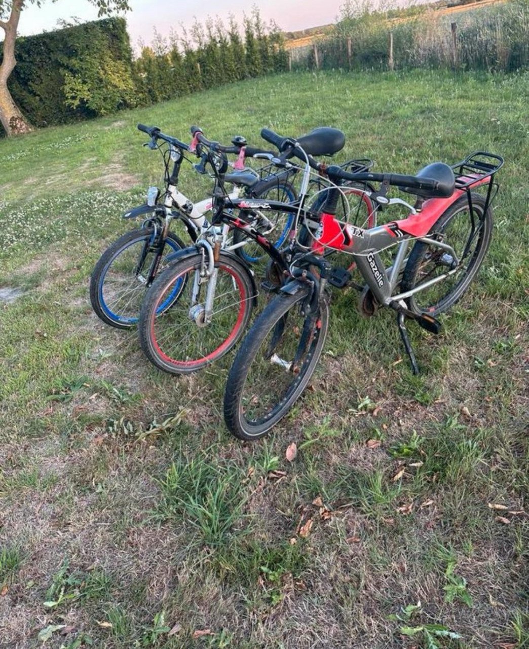 Jongensfietsen