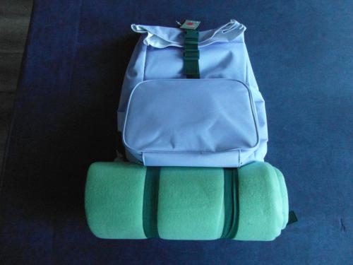 HEMA Picknick koeltas 2 personen