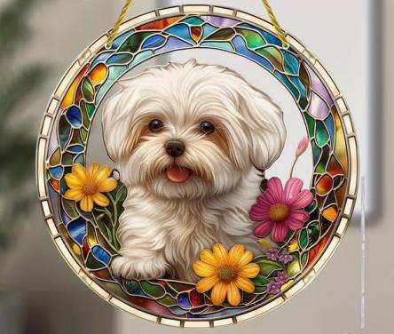 Raamhanger malthezer - boomer hondje