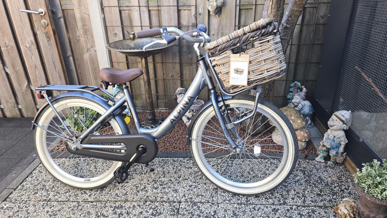 Te koop Alpina 24 inch