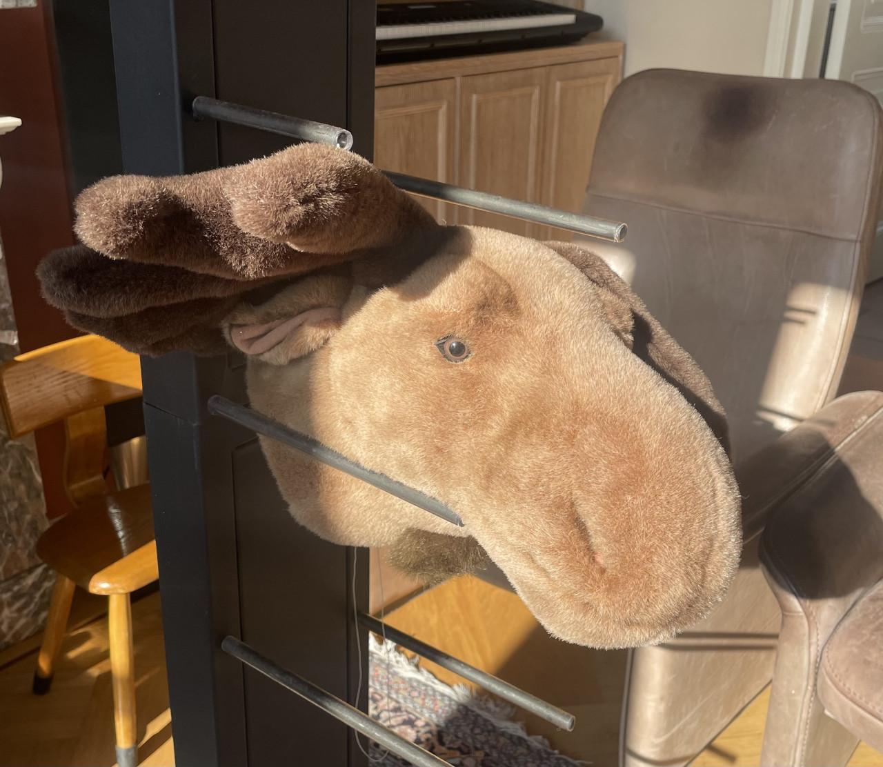 Eland kop wanddecoratie