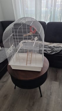 Vogelkooi