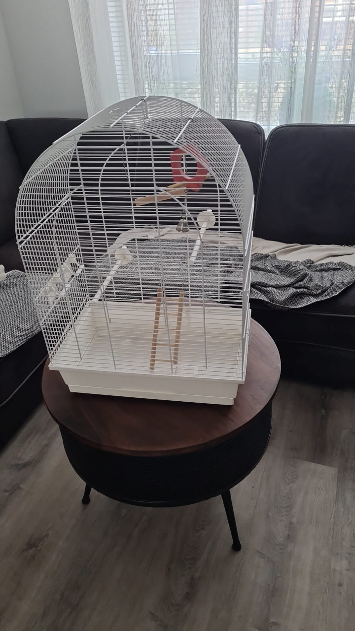 Vogelkooi