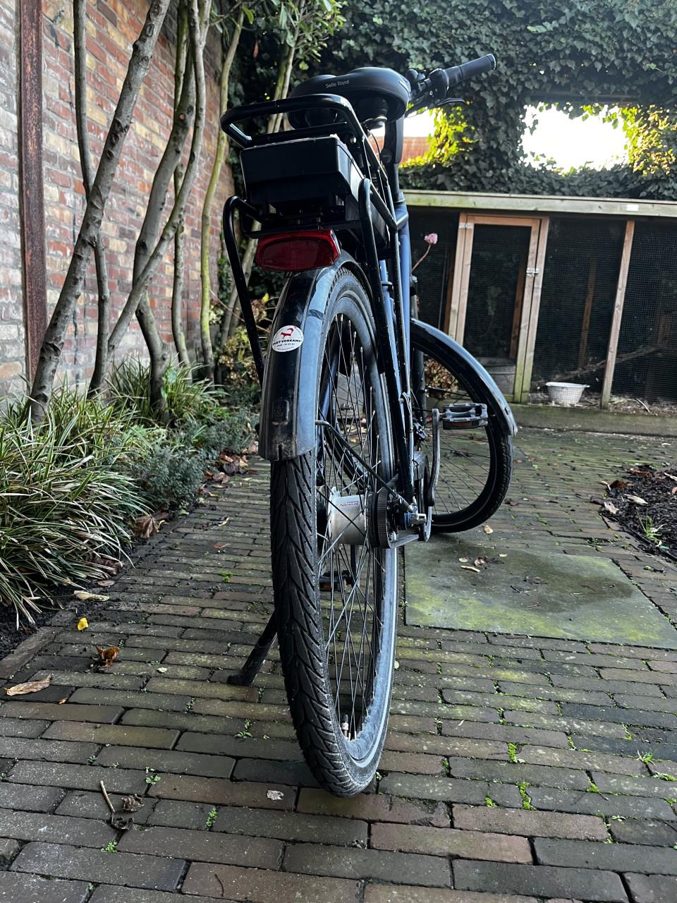 Pegasus siena E7F plus belt (disc) 60, steel blue matt