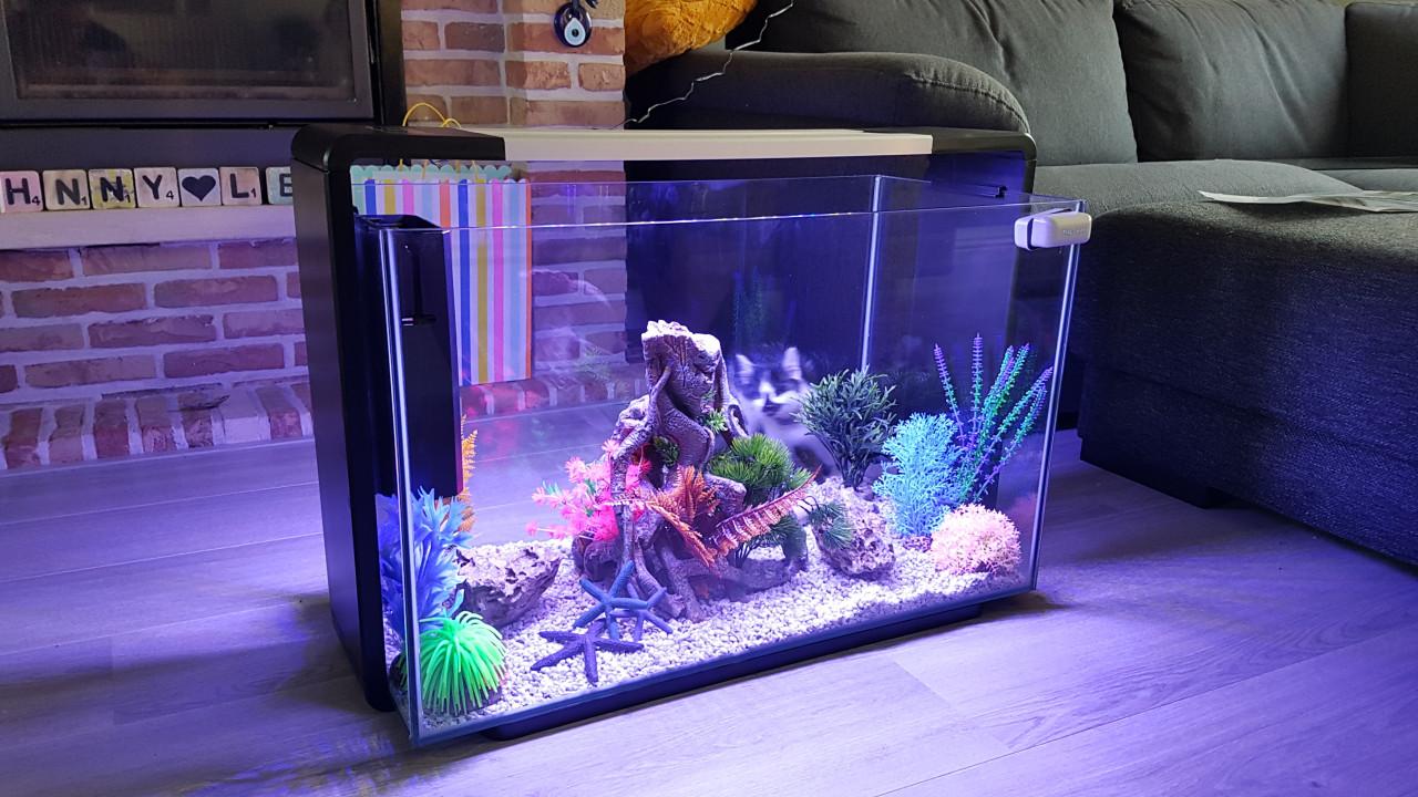 Superfish Home 110 Aquarium Black Inclusief Alle Toebehoren Te Koop