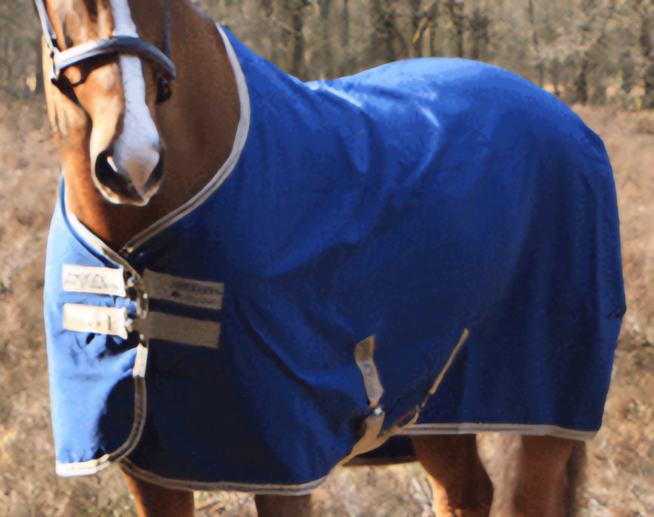 Amigo Horseware deken