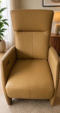 Sta op fauteuil Prominent
