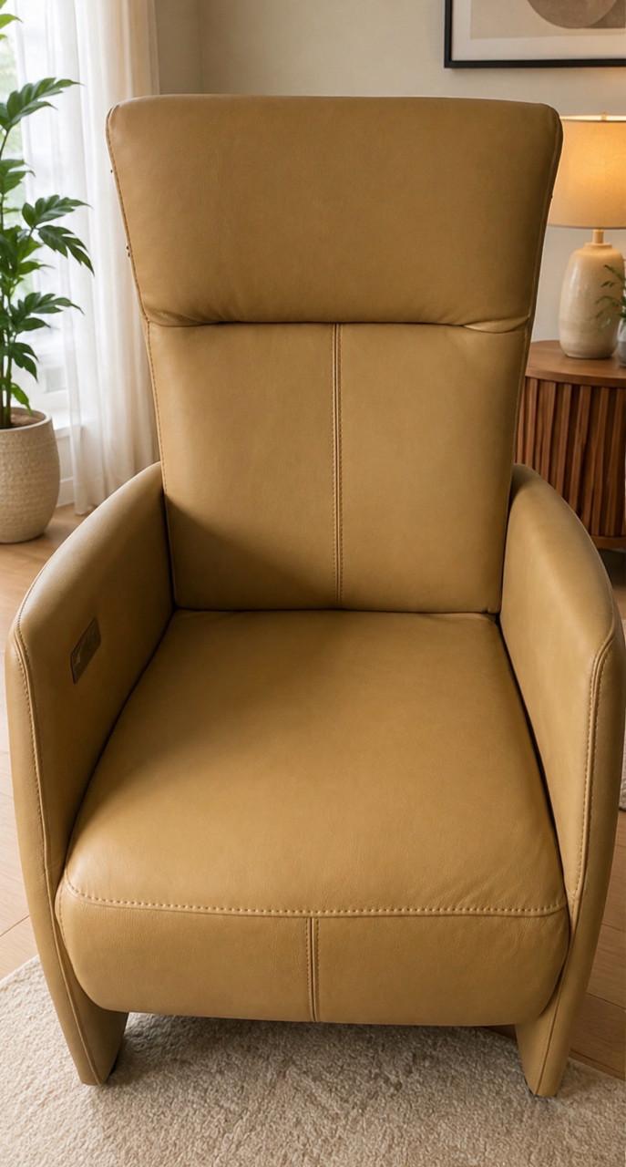 Sta op fauteuil Prominent draadloos