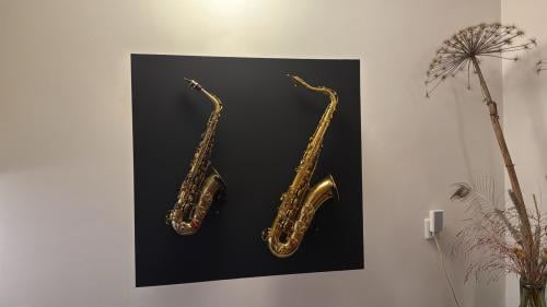 Saxofoniste zoekt band