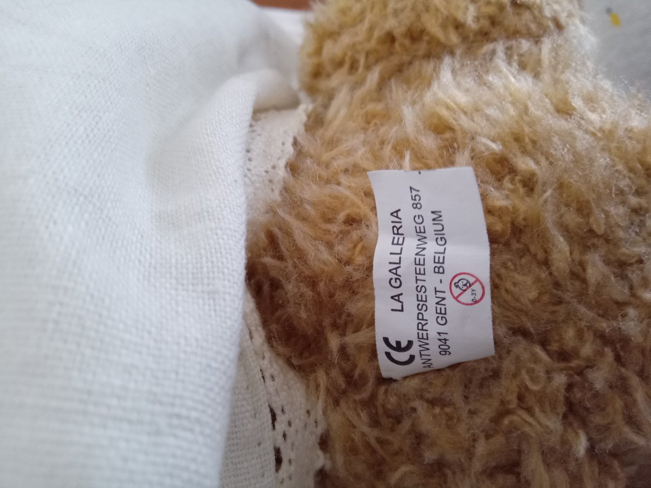 Teddybeer