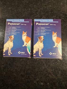 Panacur voor honden/katten