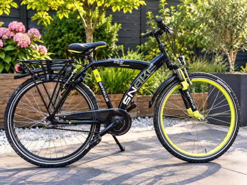 🚲 Batavus Snake 26 inch – 3 versnellingen – Nieuwe banden