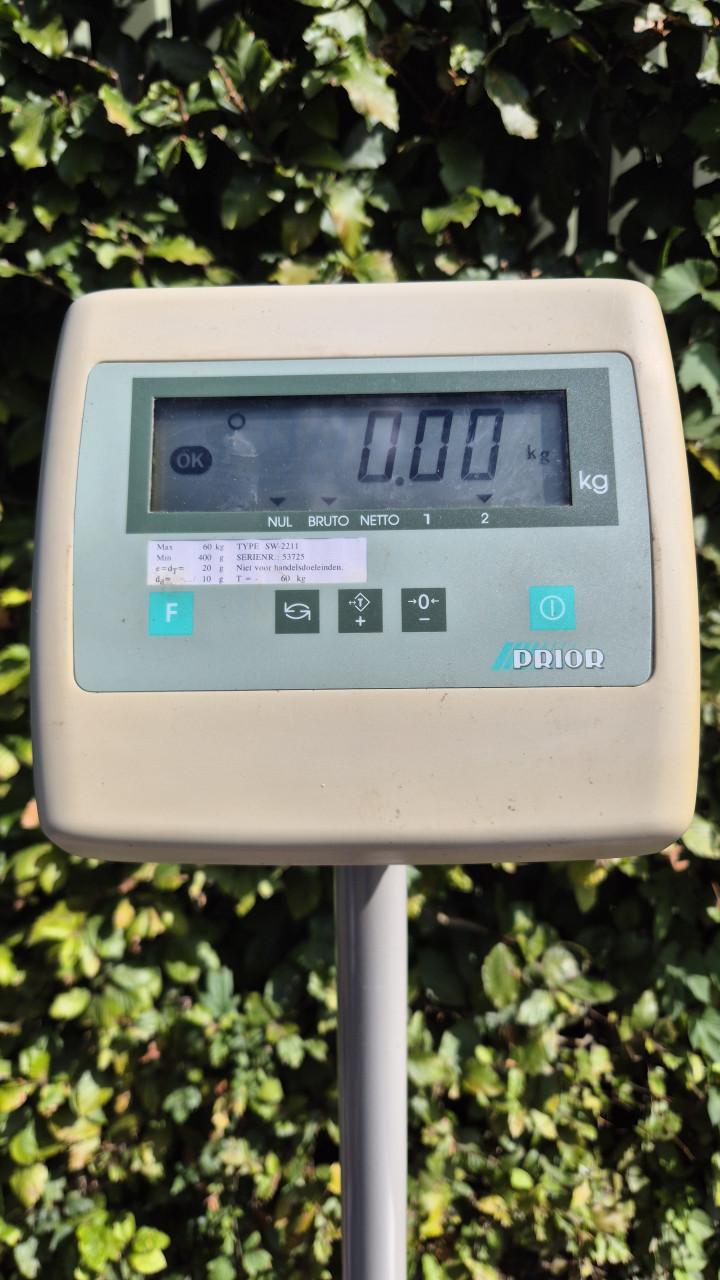 Professionele Prior plateauweegschaal – tot 60 kg
