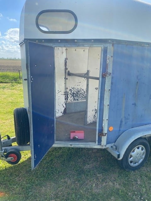 Paardentrailer voor 2 paarden