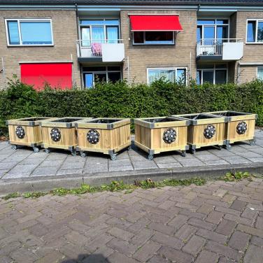 Zeeuwse knop bloembakken projecten ter inspiraties L60 x B60 x H60