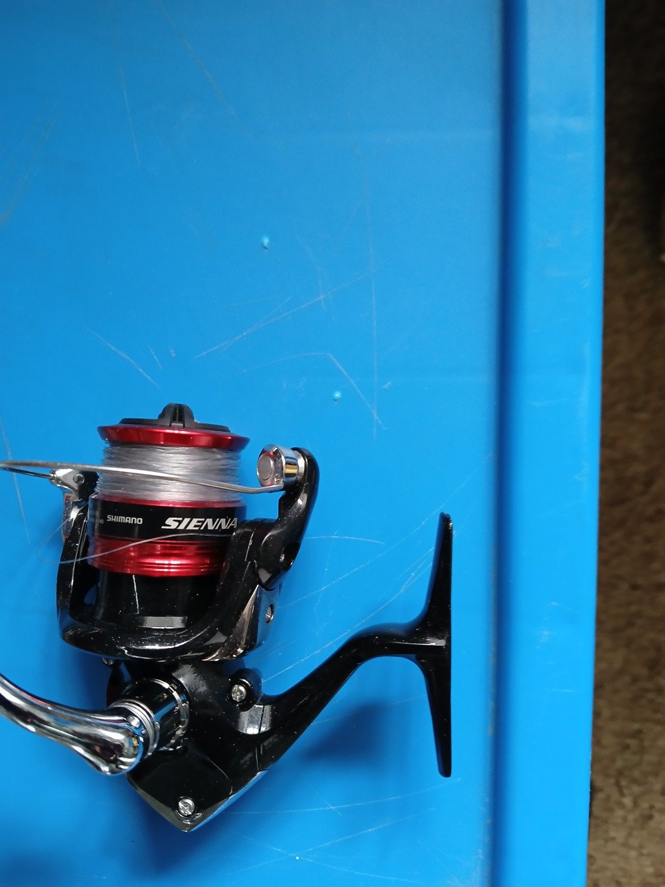 Shimano molentje