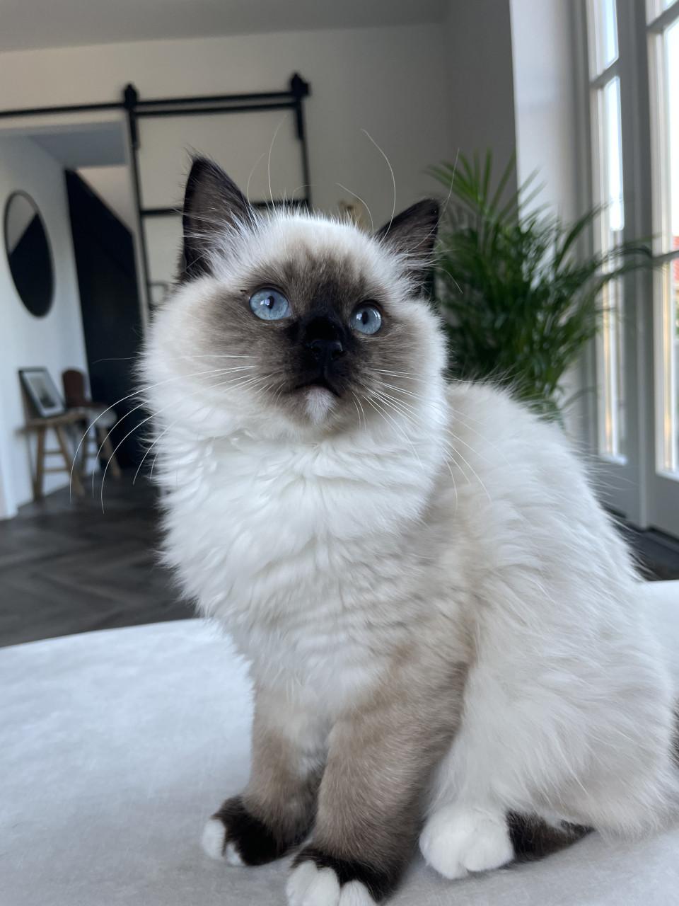 Ted en Nova zijn op zoek naar personeel