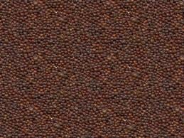 Ruime keuze enkelvoudige zaden