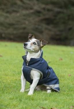 Bucas Freedom Dog regendekje