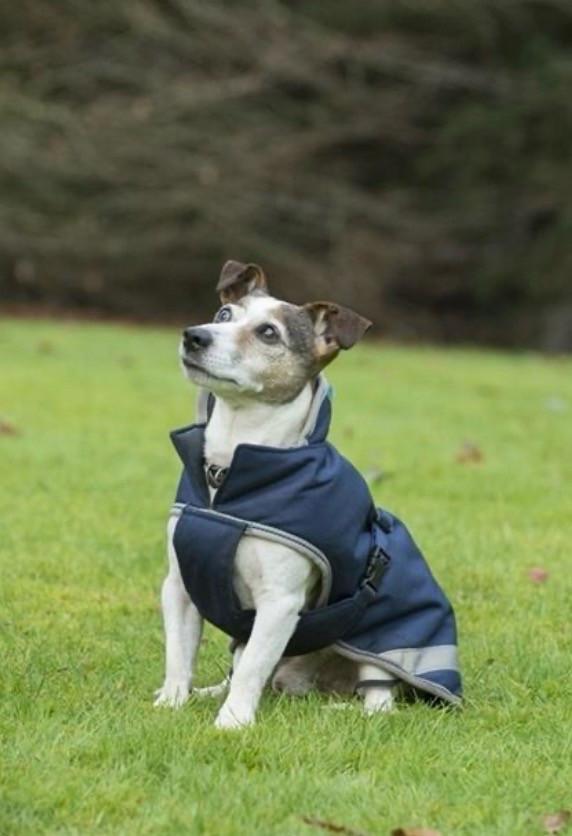 Bucas Freedom Dog regendekje