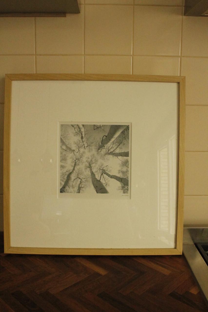 Houten lijst met prent..Adam Brock of Tony Koukos