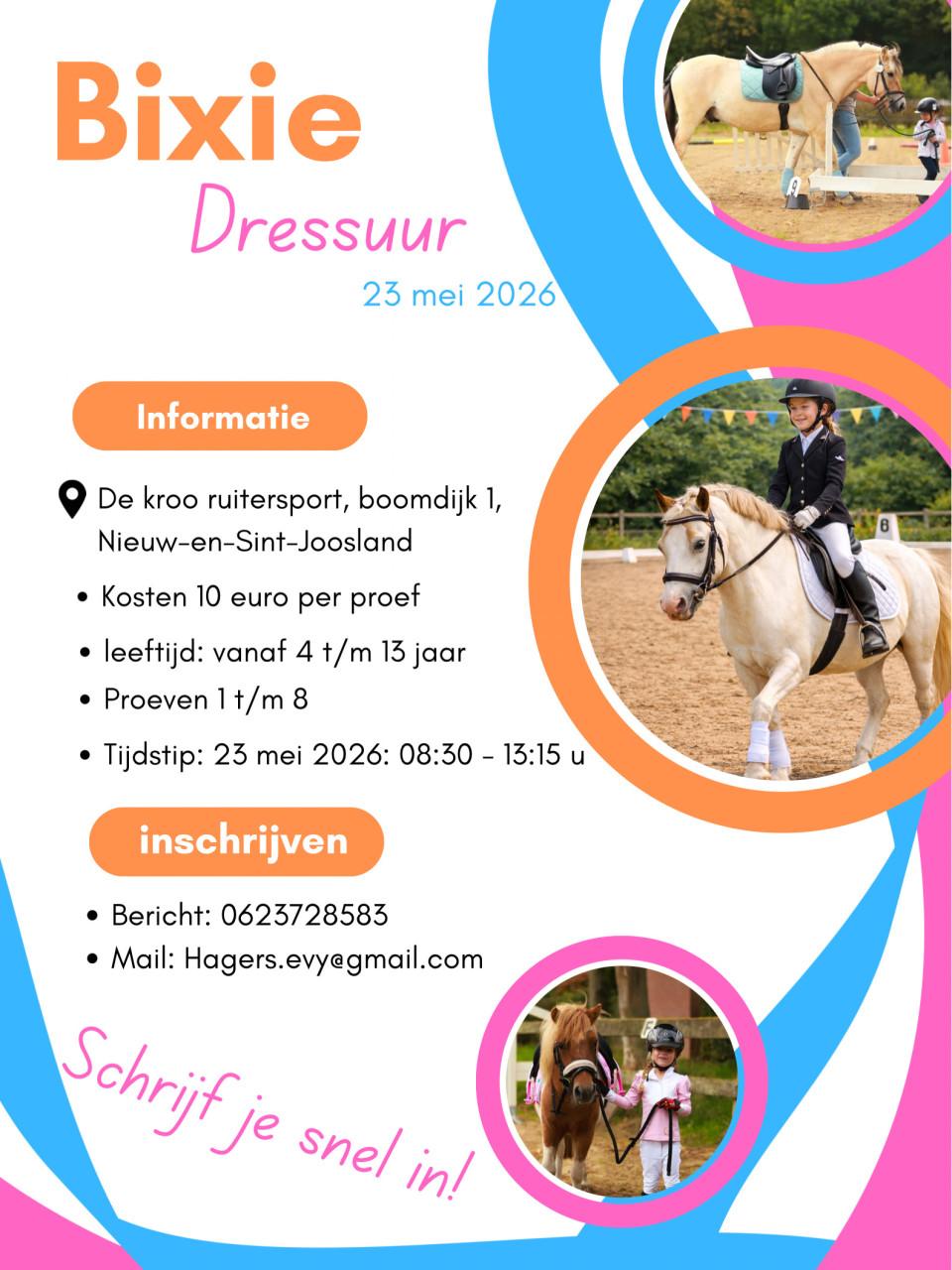 Een leuk paardenevenement waar je bij moet zijn. 'Scalda Hippique