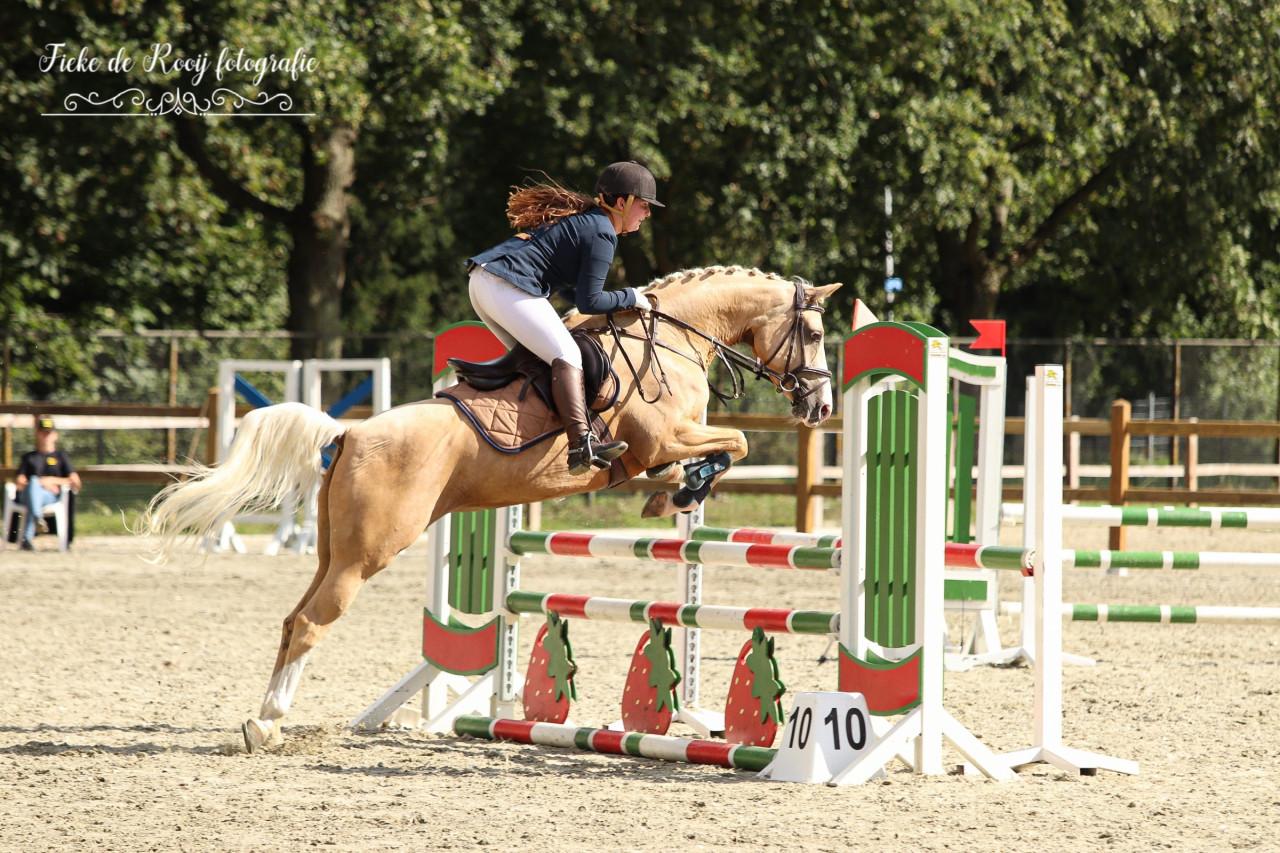 🌟 Te koop: mooie D-palominopony 🌟