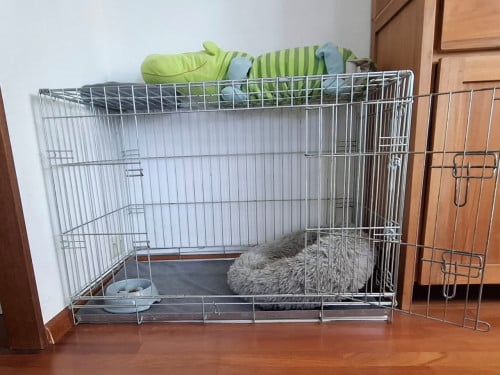 Dierenbenodigdheden