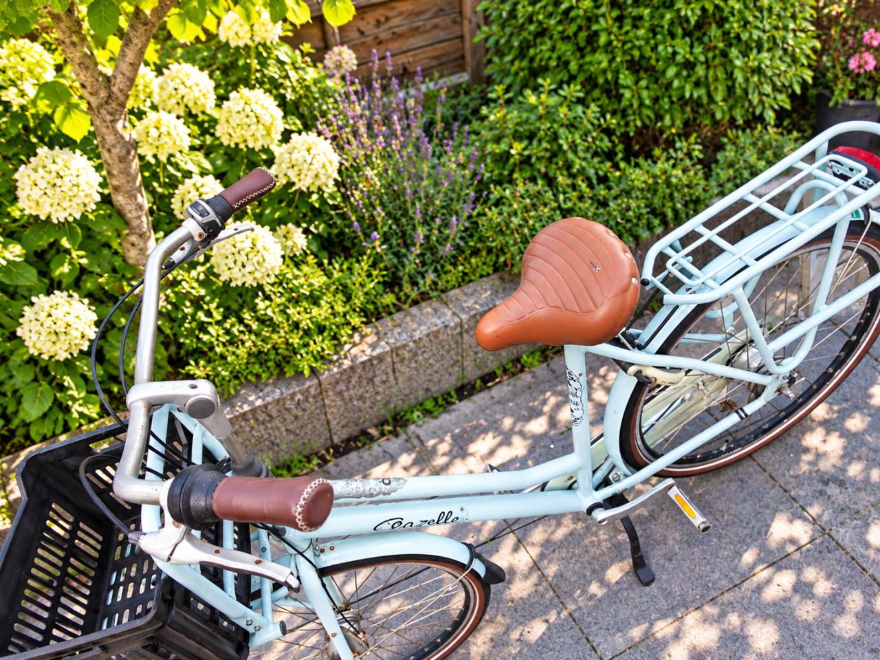 🚲 Gazelle Miss Grace Damesfiets | 7 Versnellingen | 59 cm