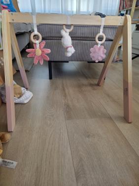 Babygym van Nijntje x Little Dutch