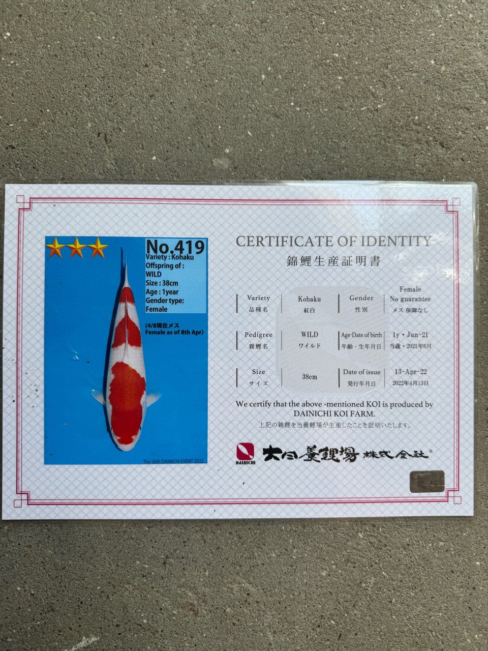 Koi met en zonder certificaat
