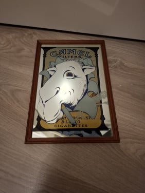 Camel spiegel