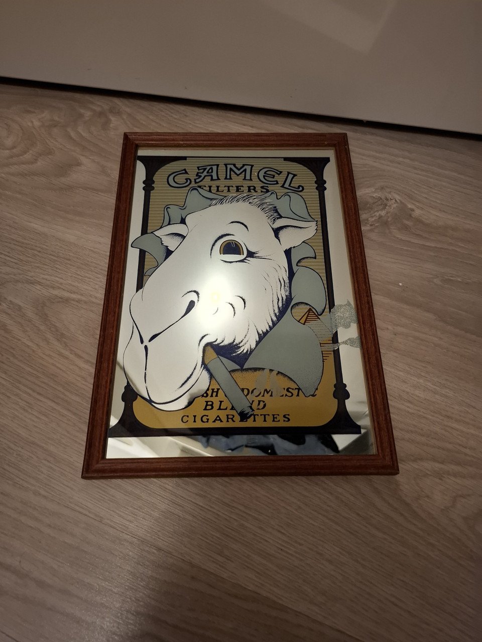 Camel spiegel