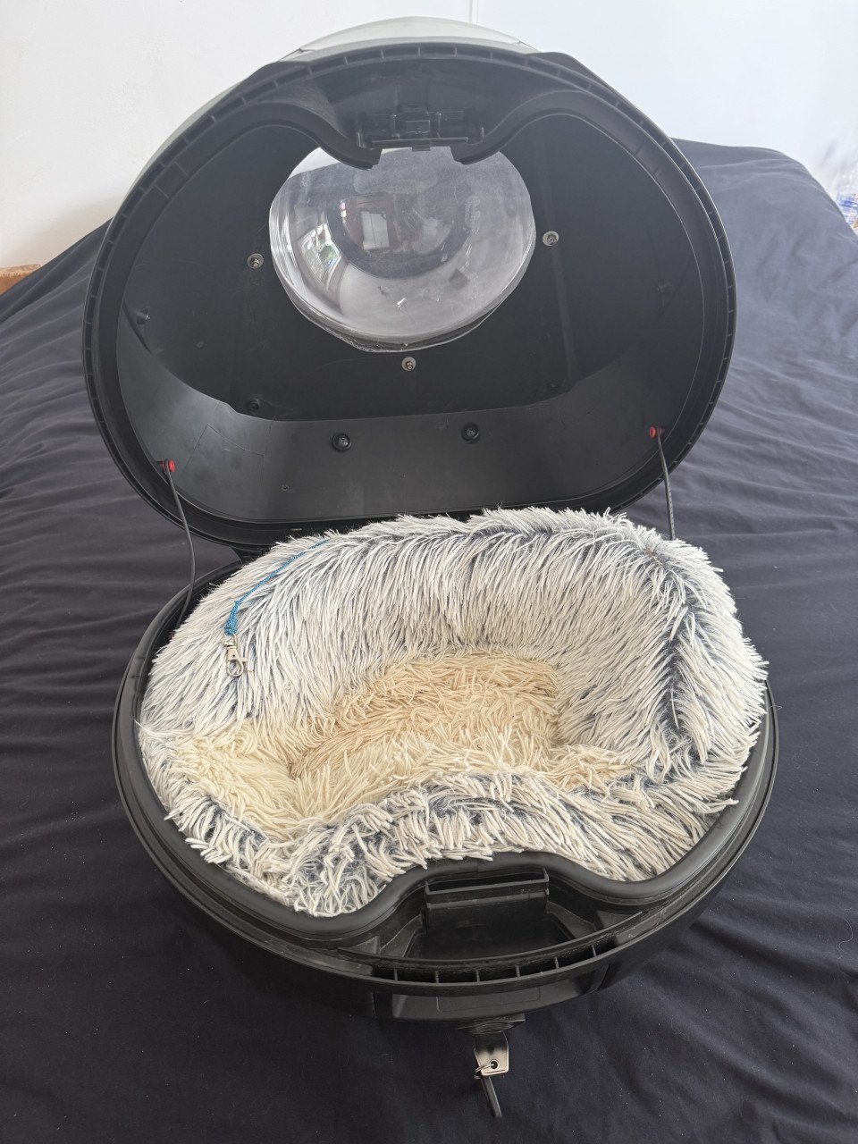 Motor top koffer Givi voor kleine hondje