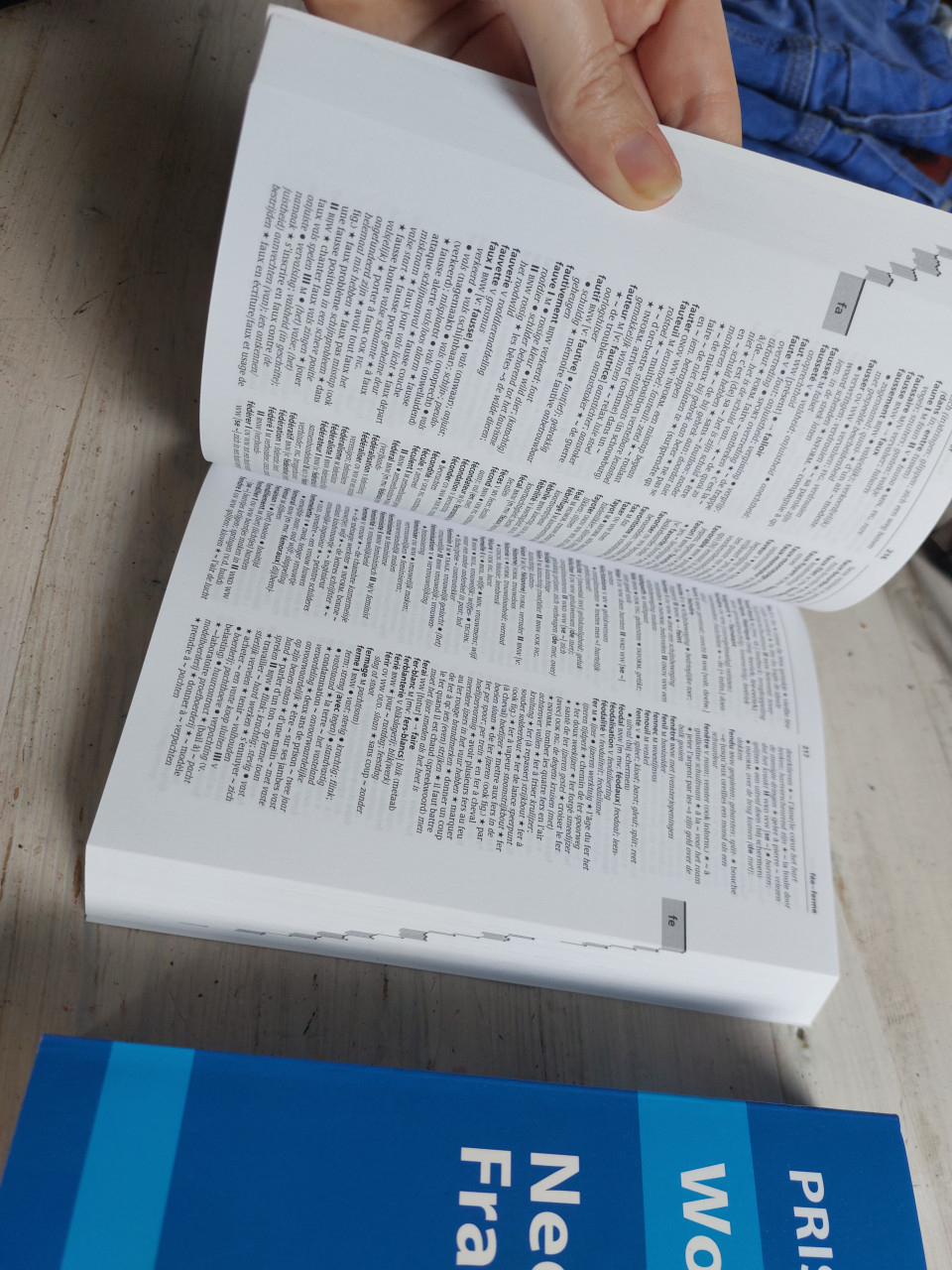 Woordenboeken